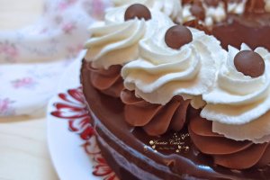 Desert tort Boema