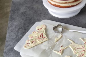 Desert tort de Martisor