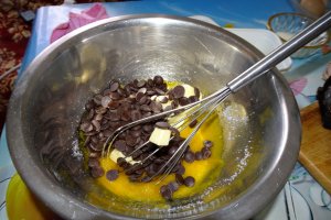 Desert tort Mari