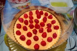 Desert tort Mari