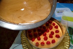 Desert tort Mari