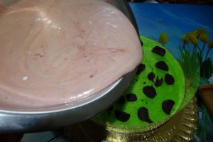 Desert tort Mari