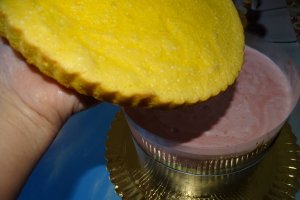 Desert tort Mari