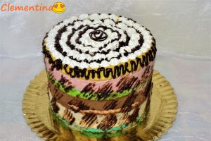 Desert tort Mari