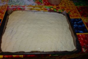Desert placinta cu mere, de post (varianta dama cu camelii)