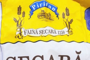 Paine bruna cu seminte de floarea soarelui