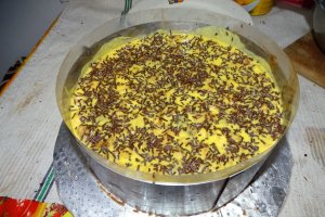 Desert cu ciocolata, zmeura si caise