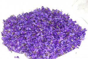 Dulceata de toporasi