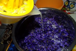 Dulceata de toporasi