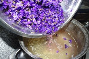 Dulceata de toporasi