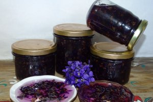 Dulceata de toporasi