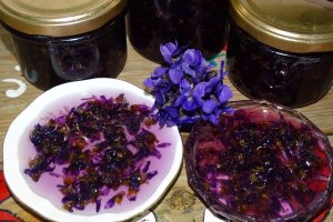 Dulceata de toporasi