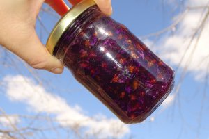 Dulceata de toporasi