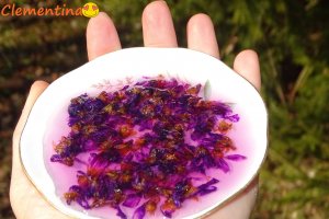 Dulceata de toporasi