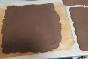 Desert prajitura cu foi de cacao si biscuiti