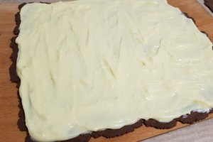 Desert prajitura cu foi de cacao si biscuiti