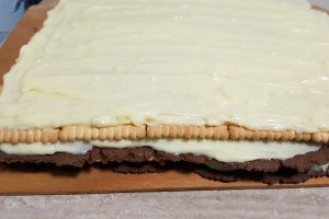 Desert prajitura cu foi de cacao si biscuiti