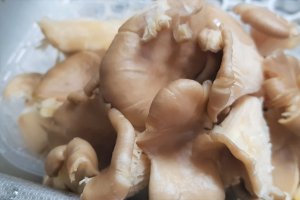 Ciorba de caprior cu ciuperci pleurotus si iaurt grecesc