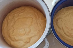 Desert tort cu cafea si crema de ciocolata cu gin