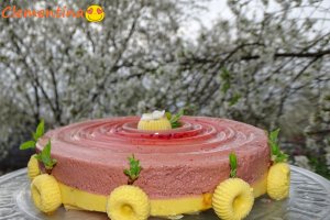 Desert prajitura cu mure si mango sau Prajitura Zmeoaicei