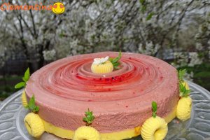 Desert prajitura cu mure si mango sau Prajitura Zmeoaicei
