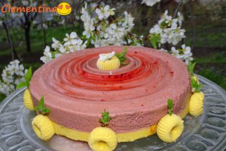 Desert prajitura cu mure si mango sau Prajitura Zmeoaicei