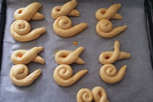 Desert Iepurasi dulci