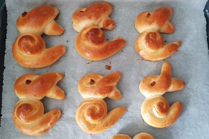 Desert Iepurasi dulci
