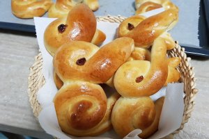 Desert Iepurasi dulci