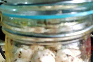 Mozzarella picanta marinata in ulei de masline