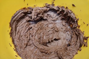 Desert tort cu ciocolata si afine