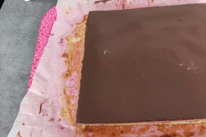 Desert prajitura marmorata cu mousse de fructe rosii si glazura de ciocolata