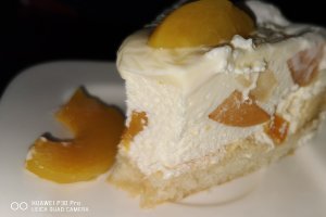 Desert tort Diplomat