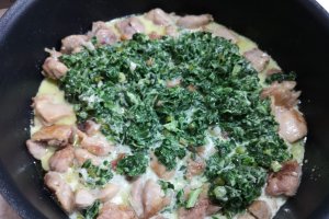 Pui florentin cu spanac, smantana, usturoi și parmezan