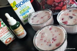 Desert panna cotta cu lapte de cocos si fructe de padure