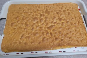 Desert prajitura Tiramisu