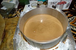 Desert tort Iulia