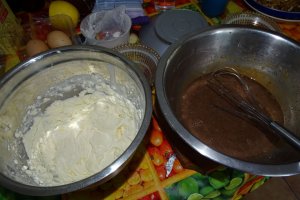 Desert tort Iulia