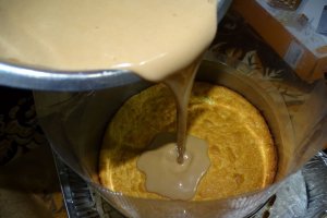 Desert tort Iulia