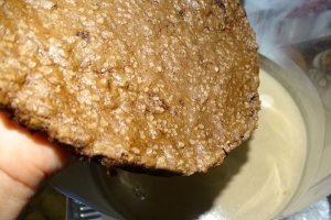 Desert tort Iulia