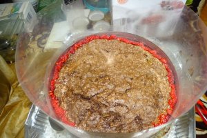 Desert tort Iulia