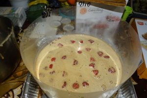 Desert tort Iulia