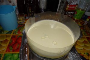 Desert tort Iulia