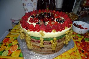 Desert tort Iulia