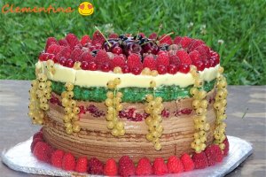 Desert tort Iulia