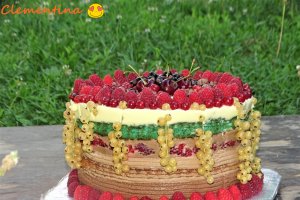 Desert tort Iulia