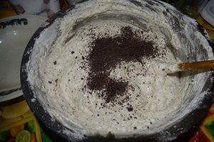 Desert tort Sebastian