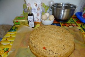 Desert tort Sebastian