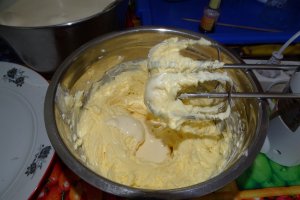 Desert tort Sebastian