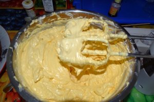 Desert tort Sebastian